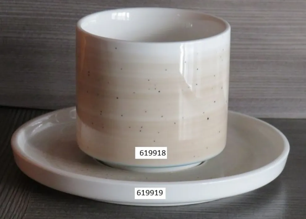 Schotel Spring beige/blauw 619919